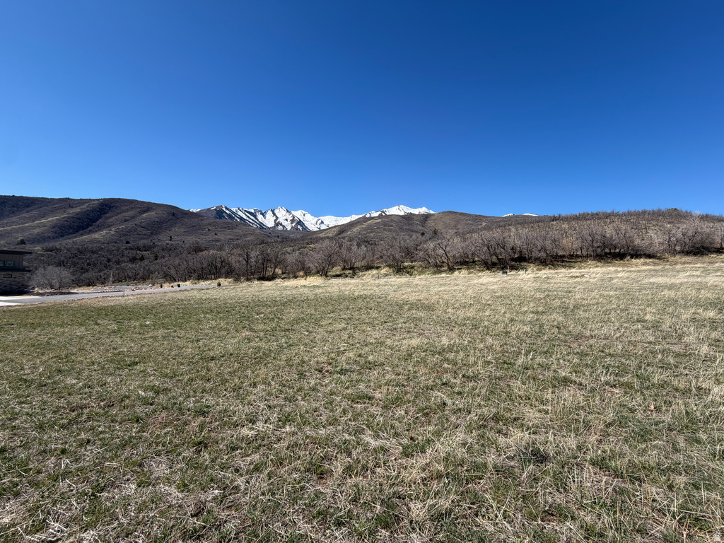  Springville, UT 84663