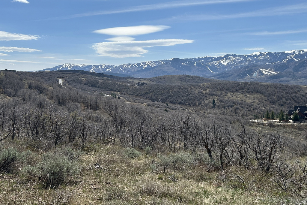 1950 W RED HAWK TRL Snyderville, UT 84098