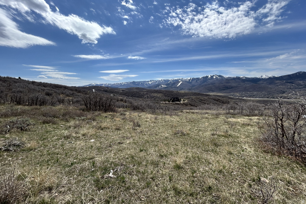 1950 W RED HAWK TRL Snyderville, UT 84098