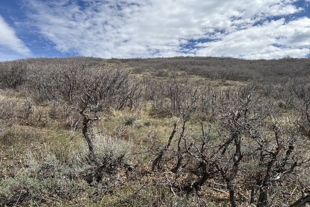 1950 W RED HAWK TRL Snyderville, UT 84098