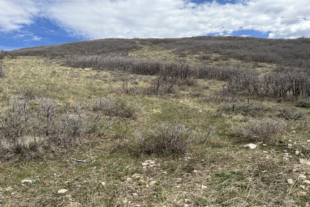 1950 W RED HAWK TRL Snyderville, UT 84098