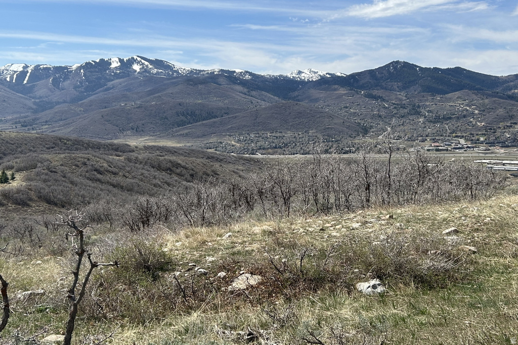 1950 W RED HAWK TRL Snyderville, UT 84098