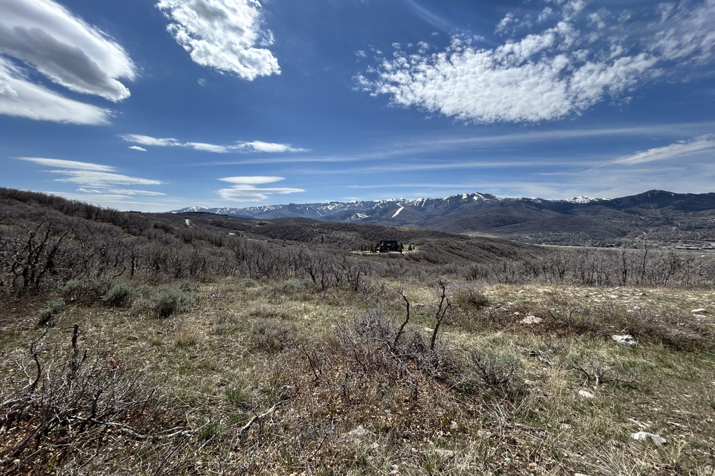 1950 W RED HAWK TRL Snyderville, UT 84098