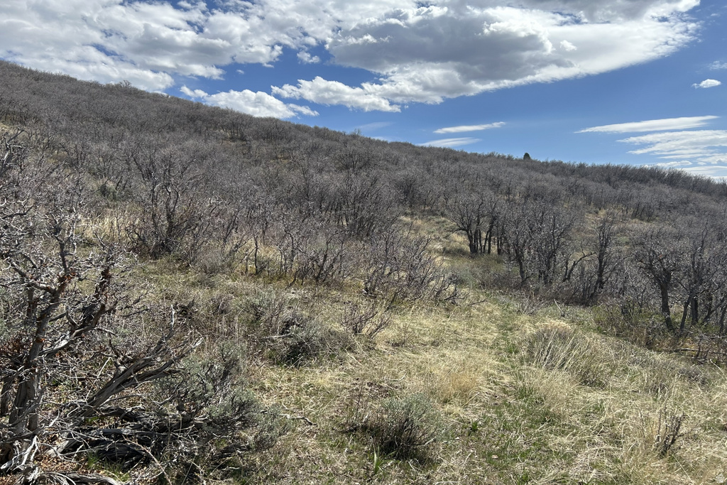 1950 W RED HAWK TRL Snyderville, UT 84098