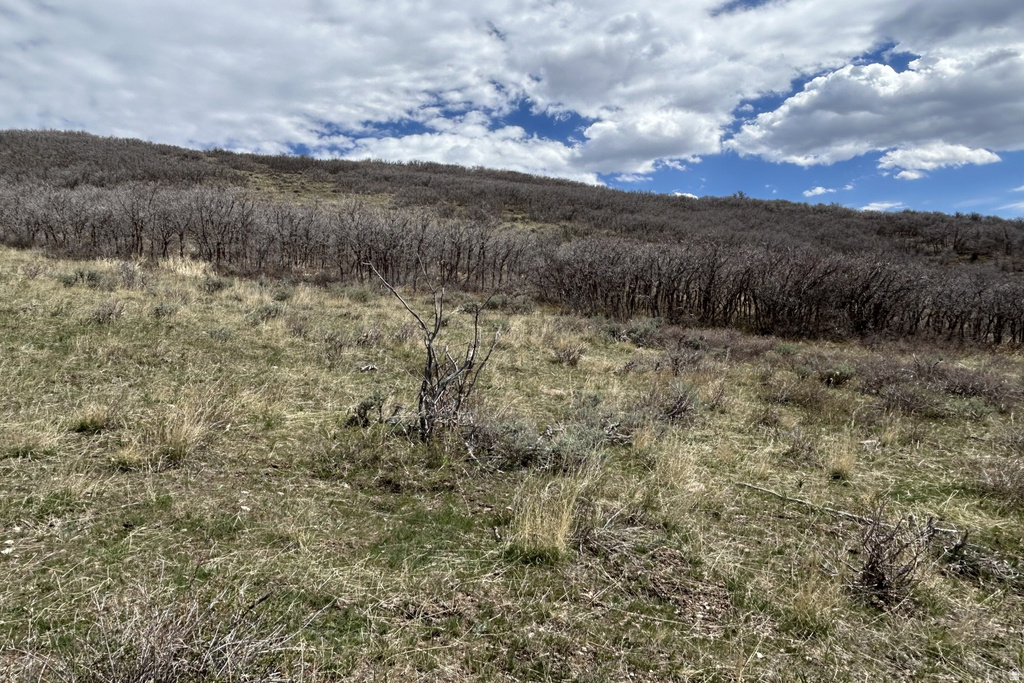 1950 W RED HAWK TRL Snyderville, UT 84098