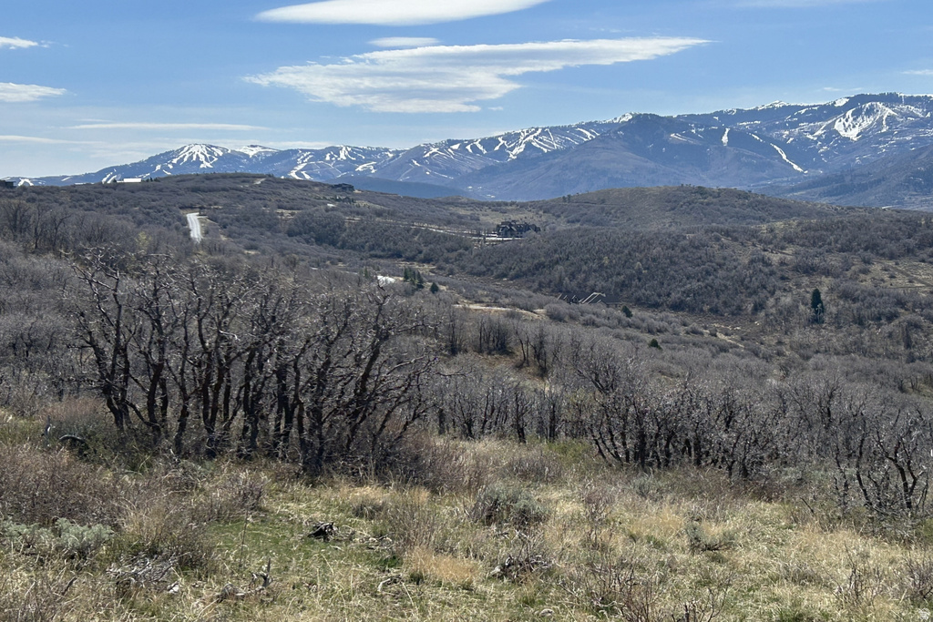 1950 W RED HAWK TRL Snyderville, UT 84098