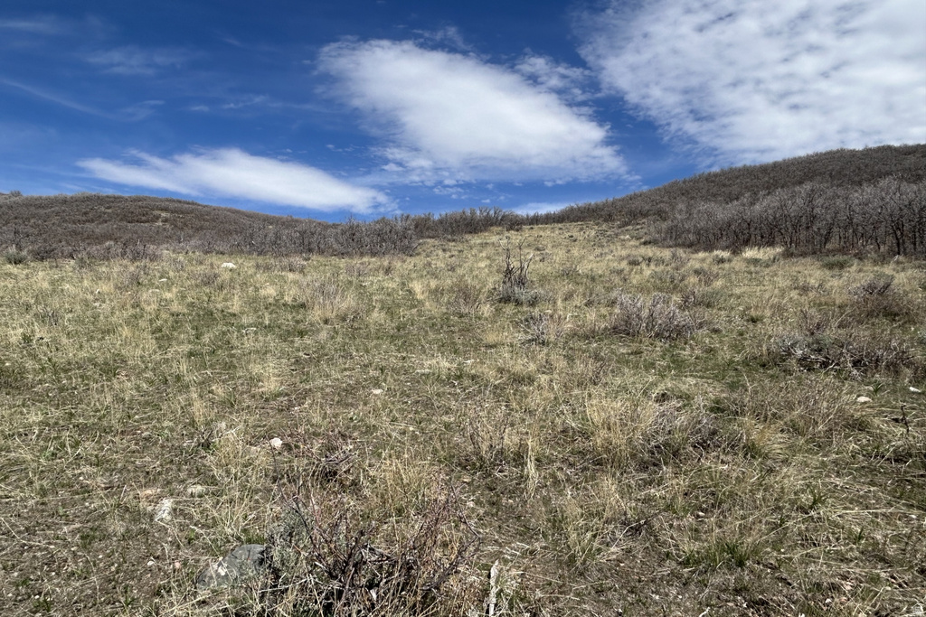 1950 W RED HAWK TRL Snyderville, UT 84098