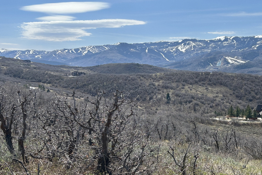 1950 W RED HAWK TRL Snyderville, UT 84098