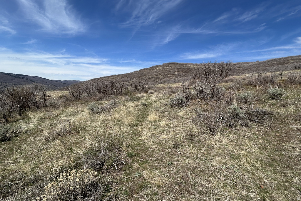 1950 W RED HAWK TRL Snyderville, UT 84098