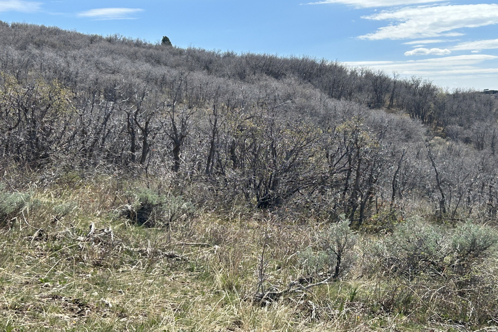 1950 W RED HAWK TRL Snyderville, UT 84098