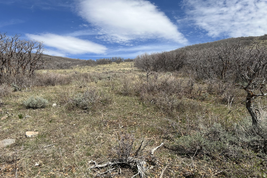 1950 W RED HAWK TRL Snyderville, UT 84098