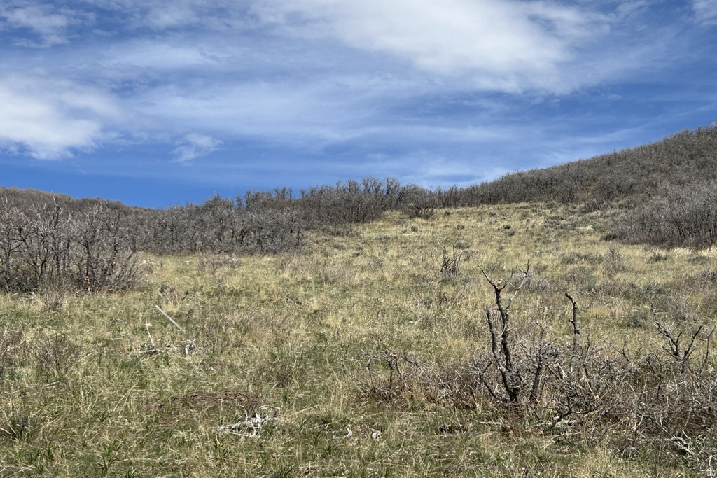 1950 W RED HAWK TRL Snyderville, UT 84098