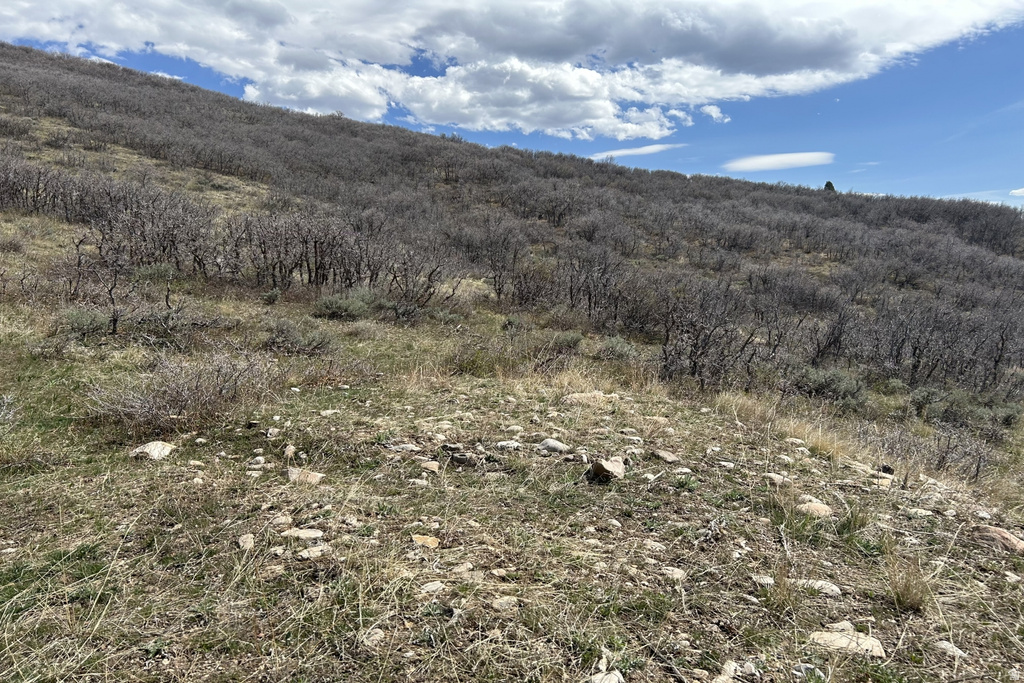 1950 W RED HAWK TRL Snyderville, UT 84098