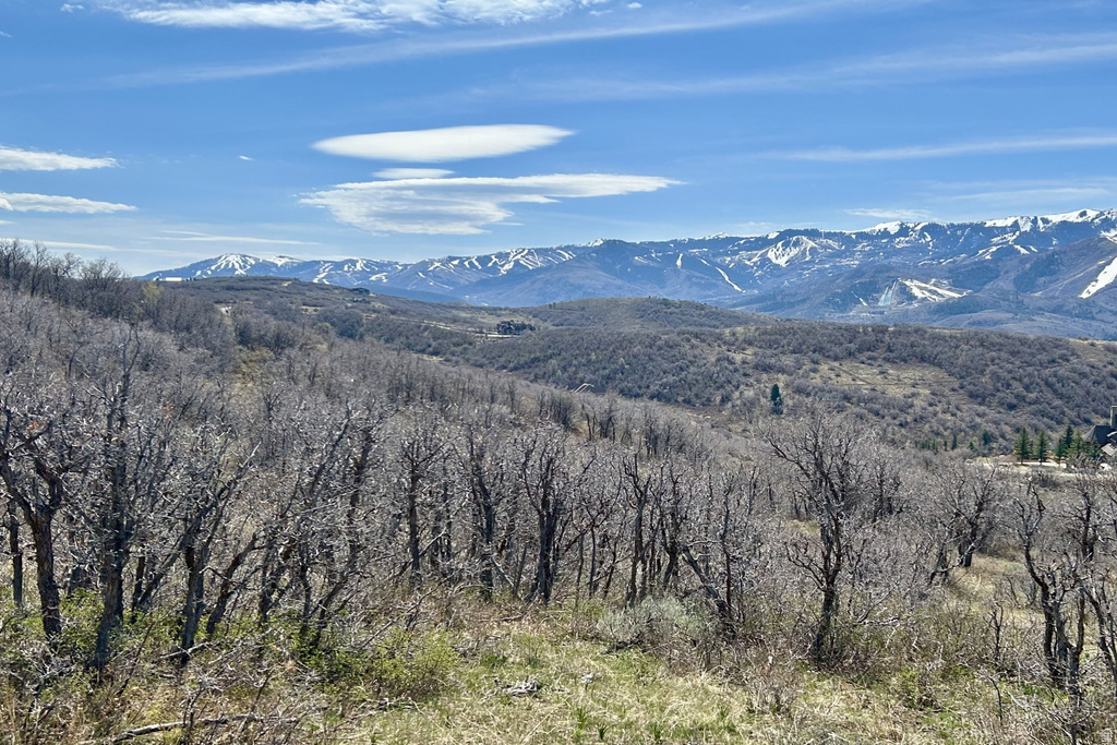 1950 W RED HAWK TRL Snyderville, UT 84098