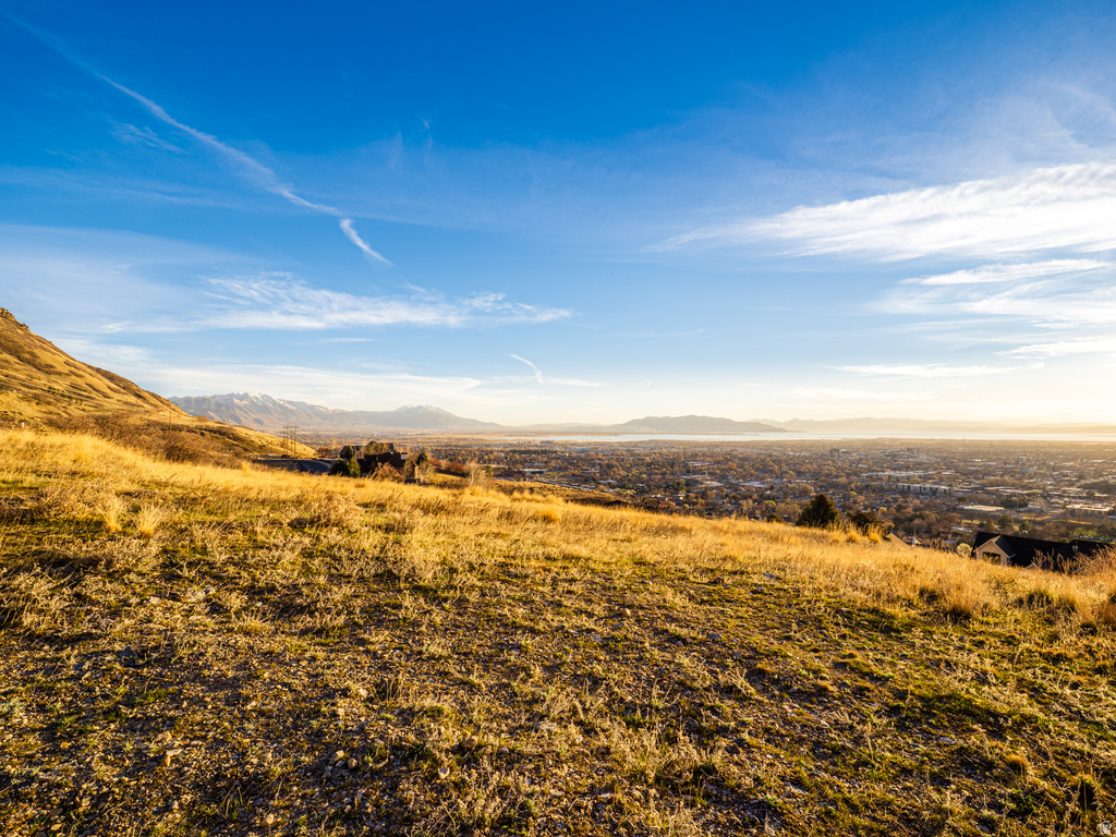 1215 N TERRACE DR Provo, UT 84604