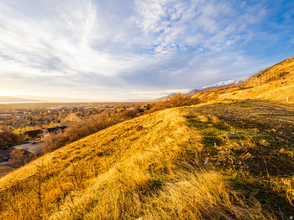 1215 N TERRACE DR Provo, UT 84604