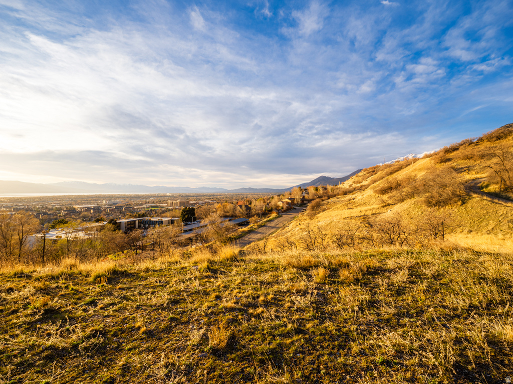 1215 N TERRACE DR Provo, UT 84604