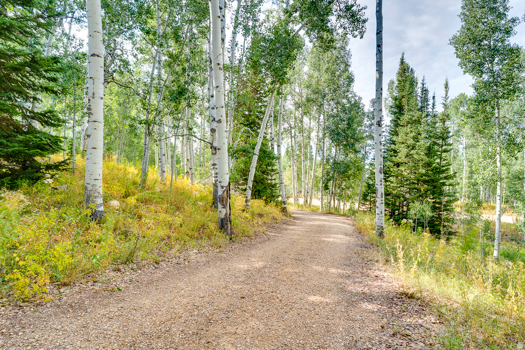 12084 ANTELOPE DR Heber City, UT 84032