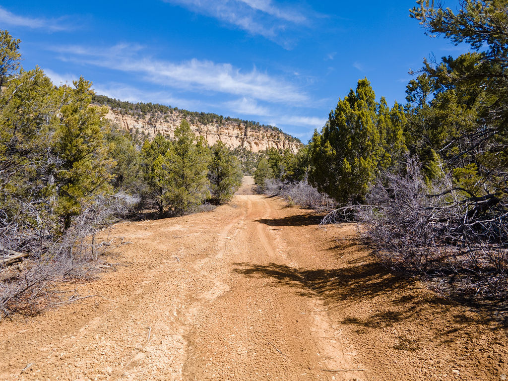 NIELSEN DR Orderville, UT 84758