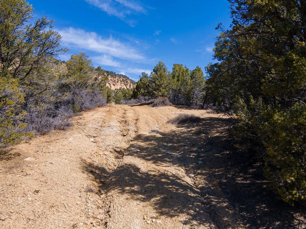 NIELSEN DR Orderville, UT 84758