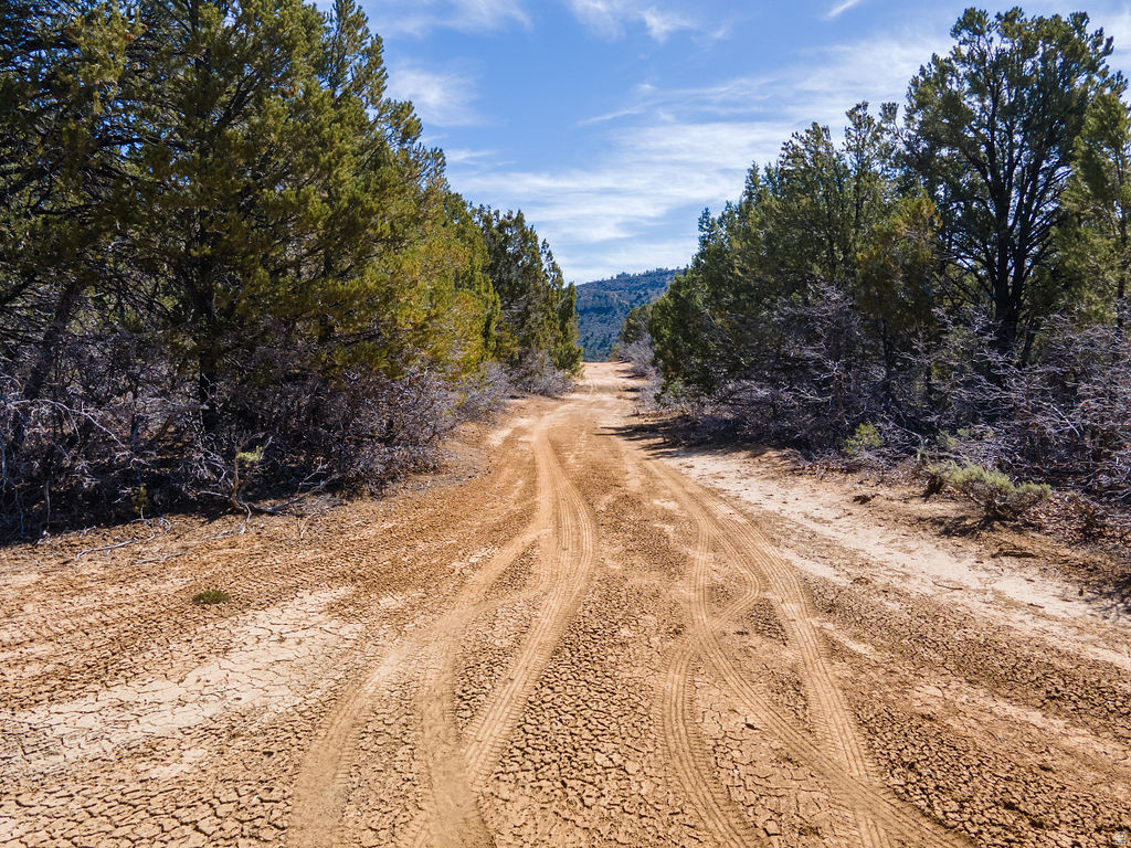 NIELSEN DR Orderville, UT 84758