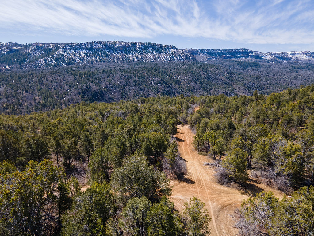 NIELSEN DR Orderville, UT 84758