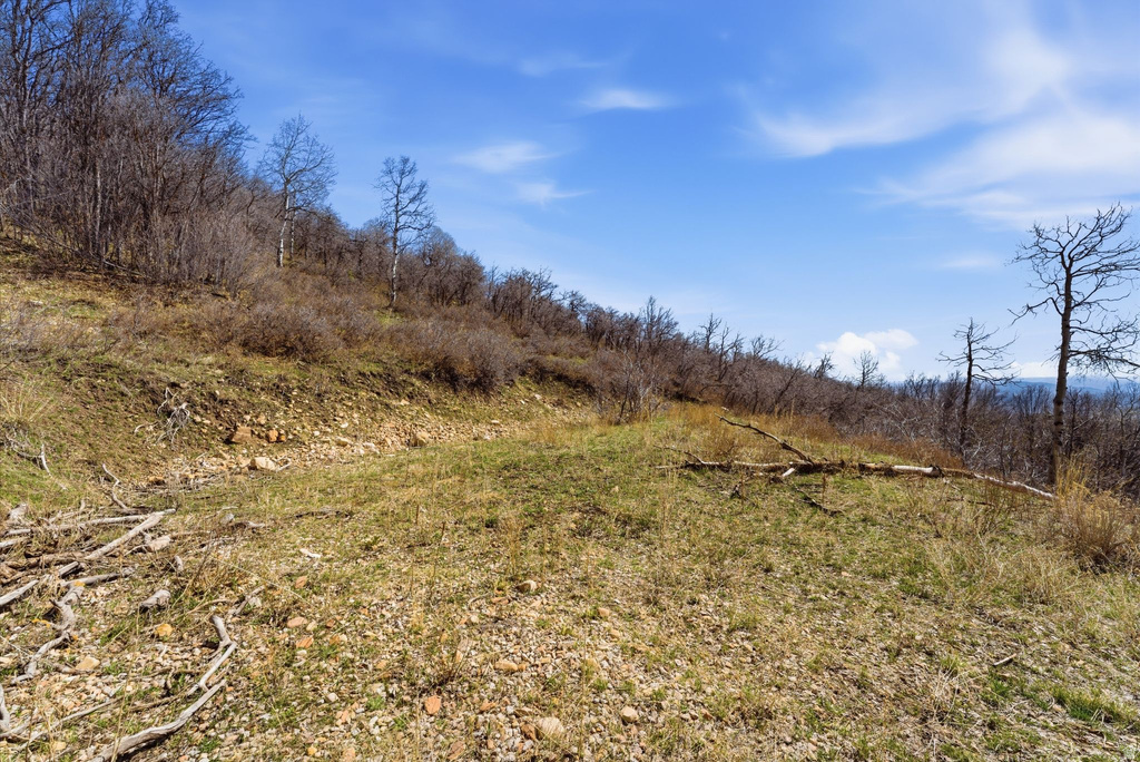 1980  LOWER COVE RD Park City, UT 84098