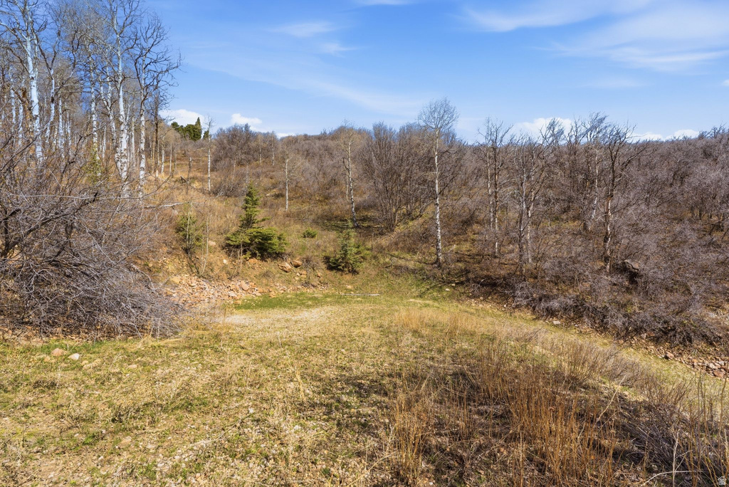 1980  LOWER COVE RD Park City, UT 84098