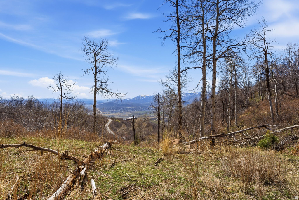 1980  LOWER COVE RD Park City, UT 84098