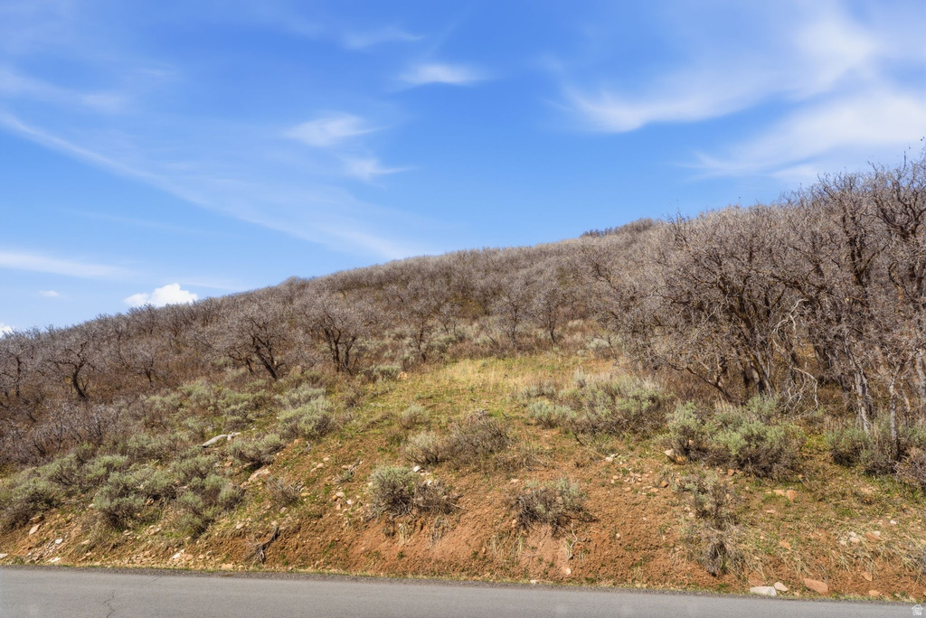 1980  LOWER COVE RD Park City, UT 84098