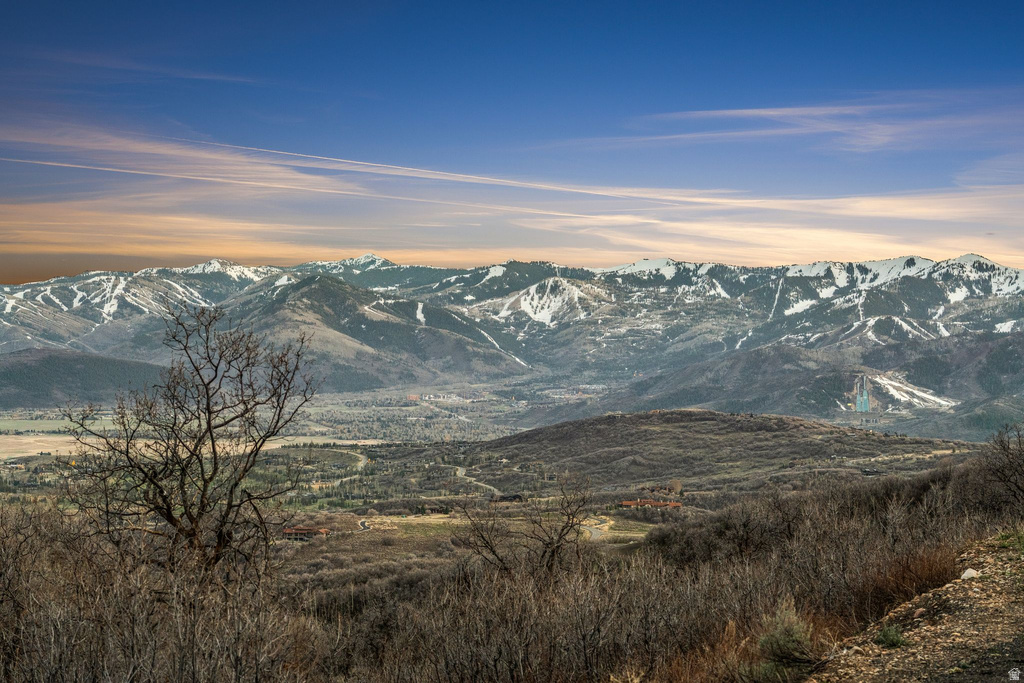 1980  LOWER COVE RD Park City, UT 84098