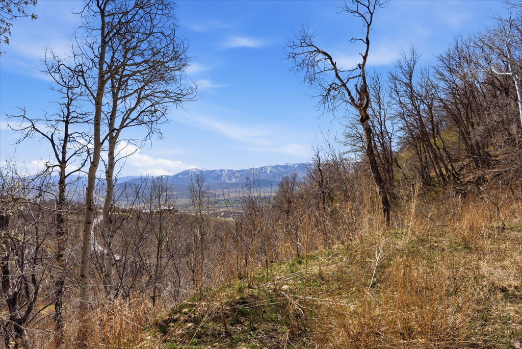 1980  LOWER COVE RD Park City, UT 84098