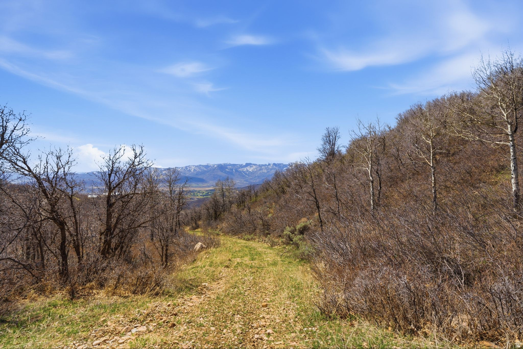 1980  LOWER COVE RD Park City, UT 84098