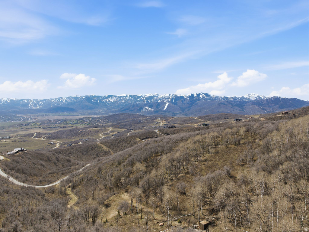 1980  LOWER COVE RD Park City, UT 84098