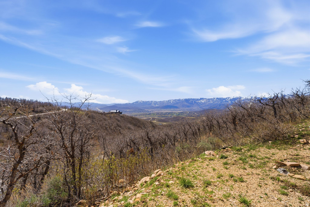 1980  LOWER COVE RD Park City, UT 84098