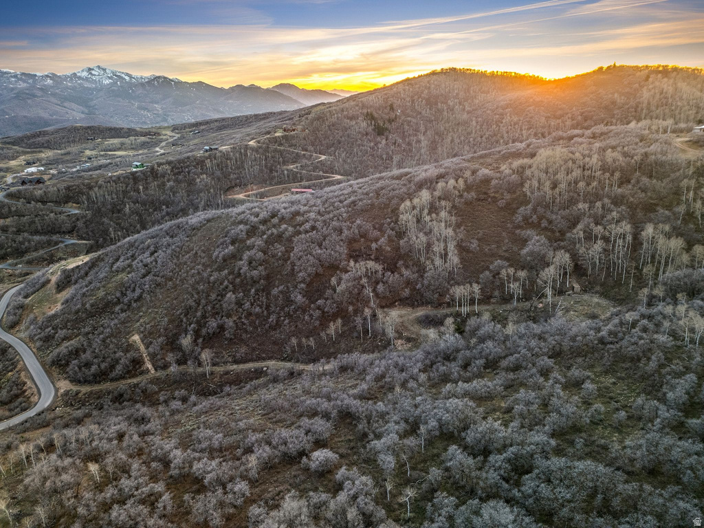 1980  LOWER COVE RD Park City, UT 84098