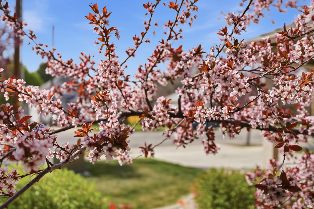 1068 E 16TH ST Ogden, UT 84404