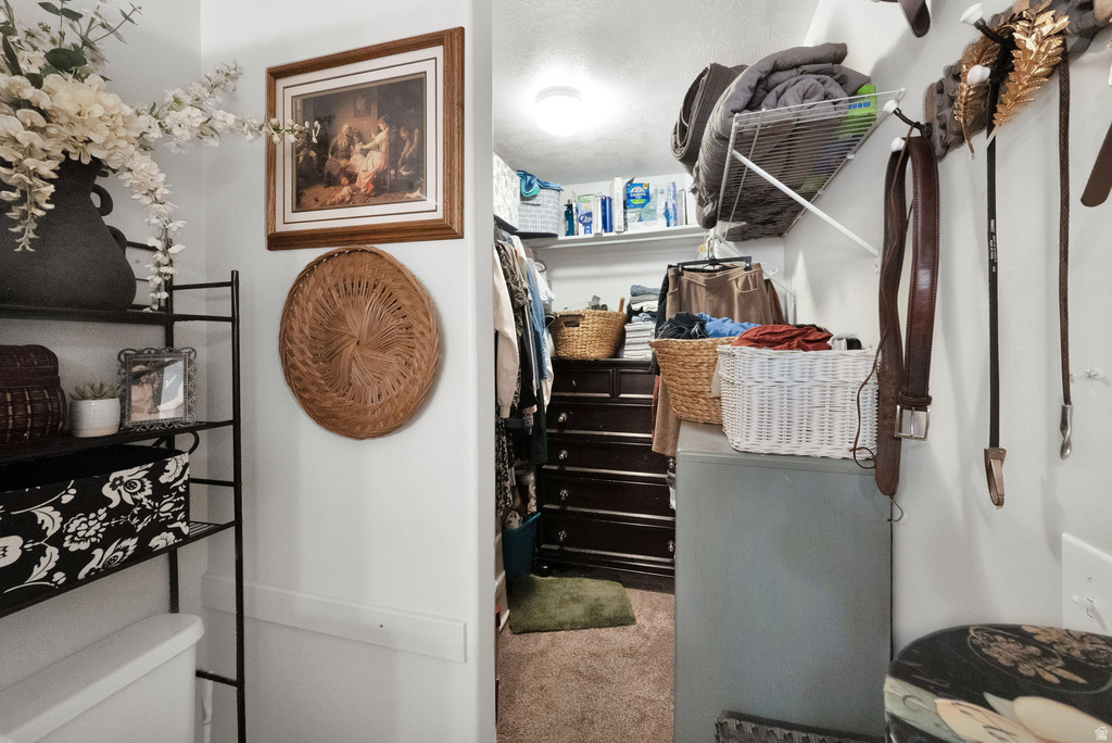 1351 W GLENBARR DR Springville, UT 84663