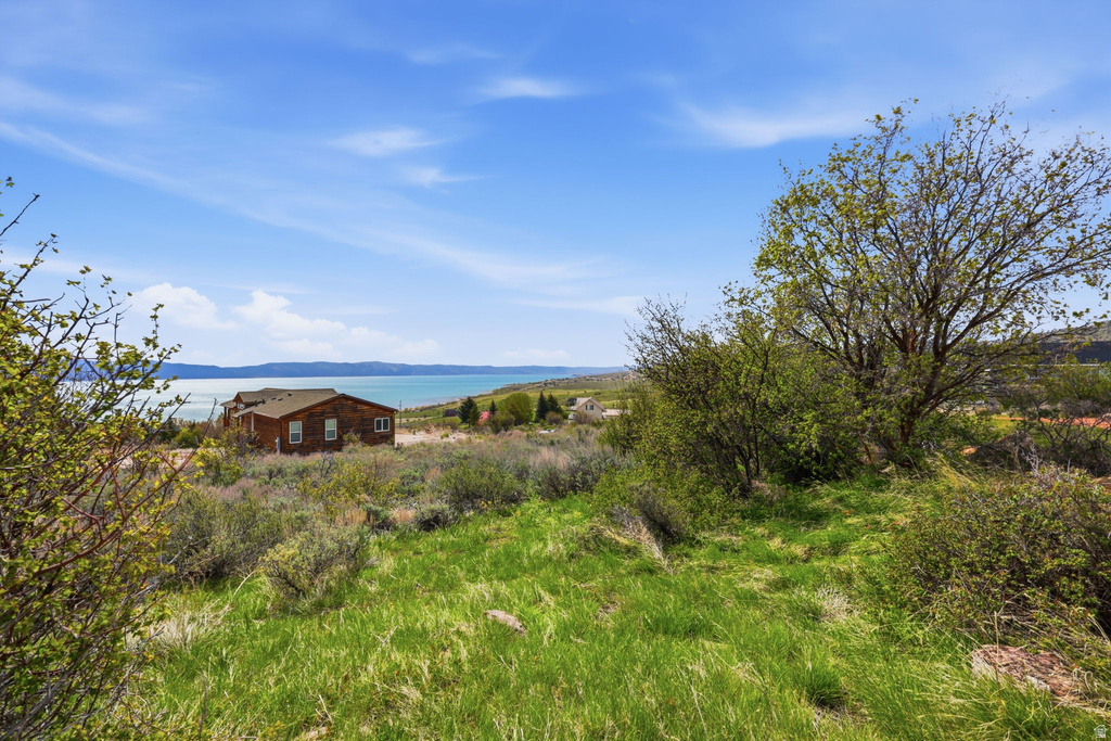 151  CODY LN Fish Haven, ID 83287