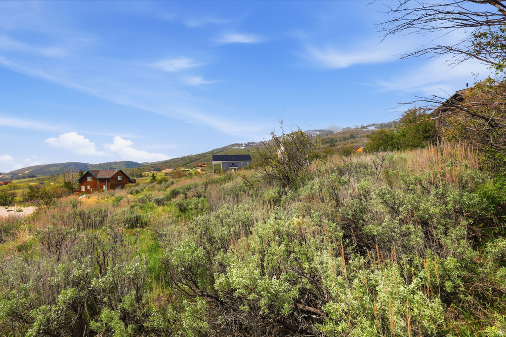 151  CODY LN Fish Haven, ID 83287