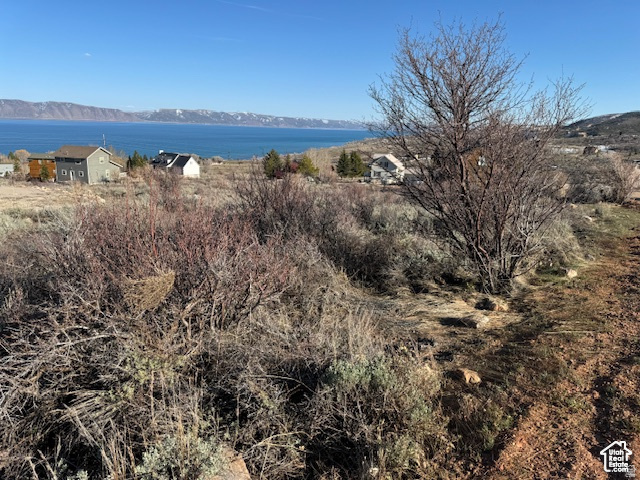 151  CODY LN Fish Haven, ID 83287