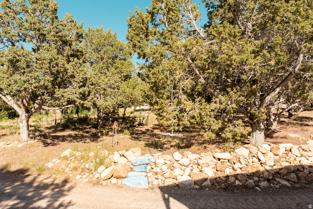 22310 N CEDAR DR Fairview, UT 84629