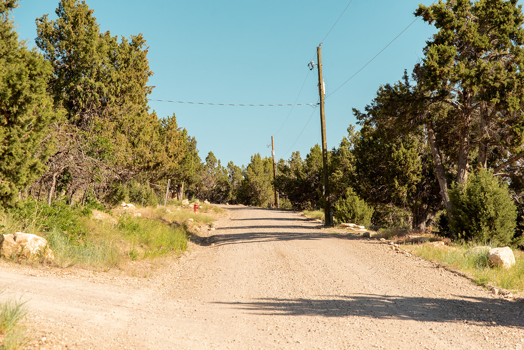 22310 N CEDAR DR Fairview, UT 84629