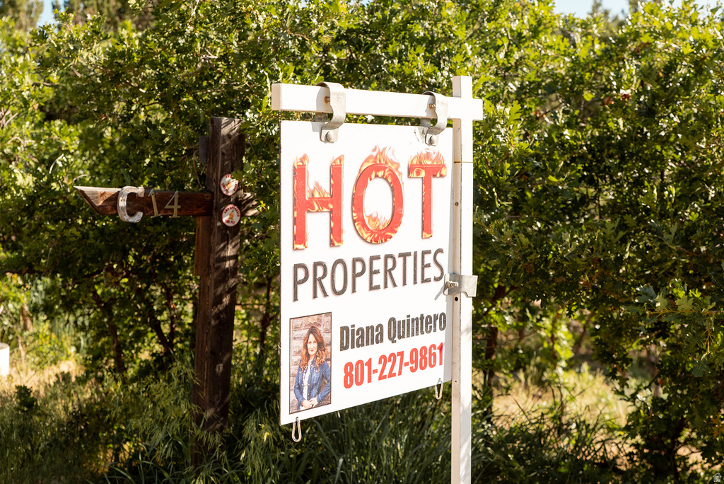 22310 N CEDAR DR Fairview, UT 84629