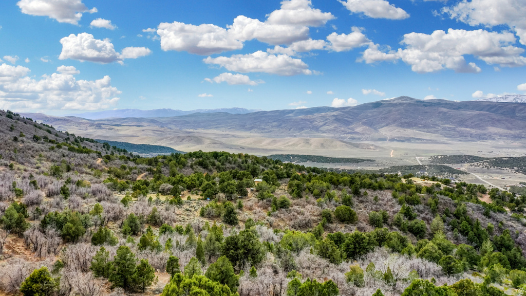 33380 N 10450 E Fairview, UT 84629