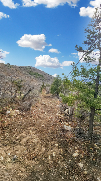 33380 N 10450 E Fairview, UT 84629