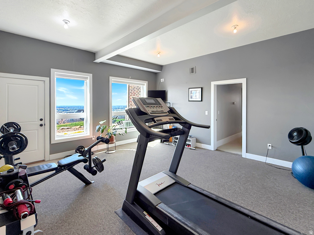 1113 W FAWN DR Pleasant View, UT 84414