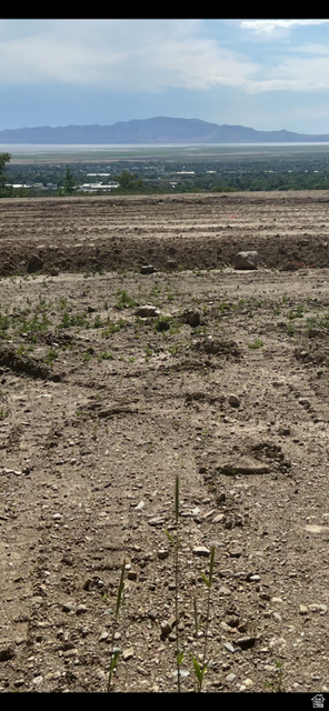 239 N ROCK LOFT RIDGE DR Fruit Heights, UT 84037