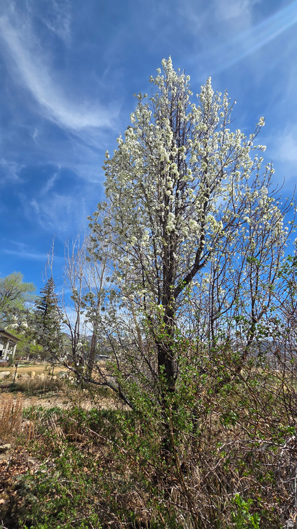 430 E 100 N Mt Pleasant, UT 84647