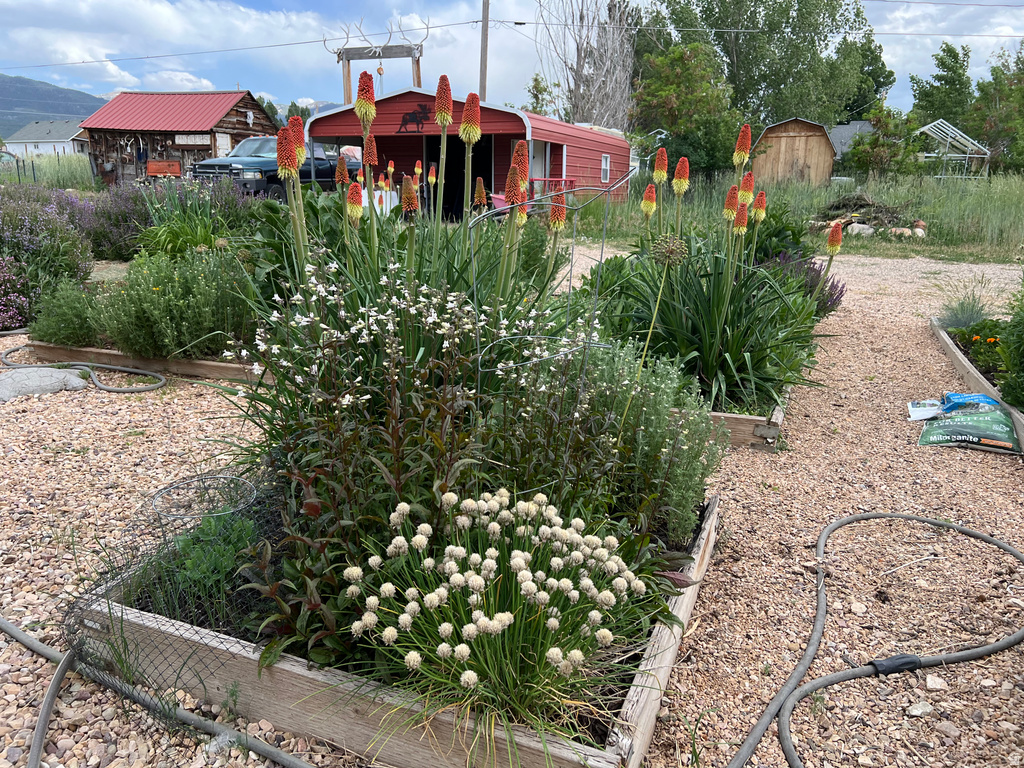 430 E 100 N Mt Pleasant, UT 84647